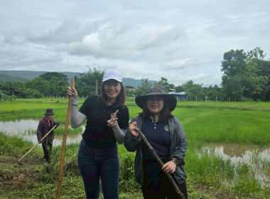 สำนักงานสหกรณ์จังหวัดเชียงราย จัดกิจกรรมปลูกพืชสมุนไพร ... พารามิเตอร์รูปภาพ 47